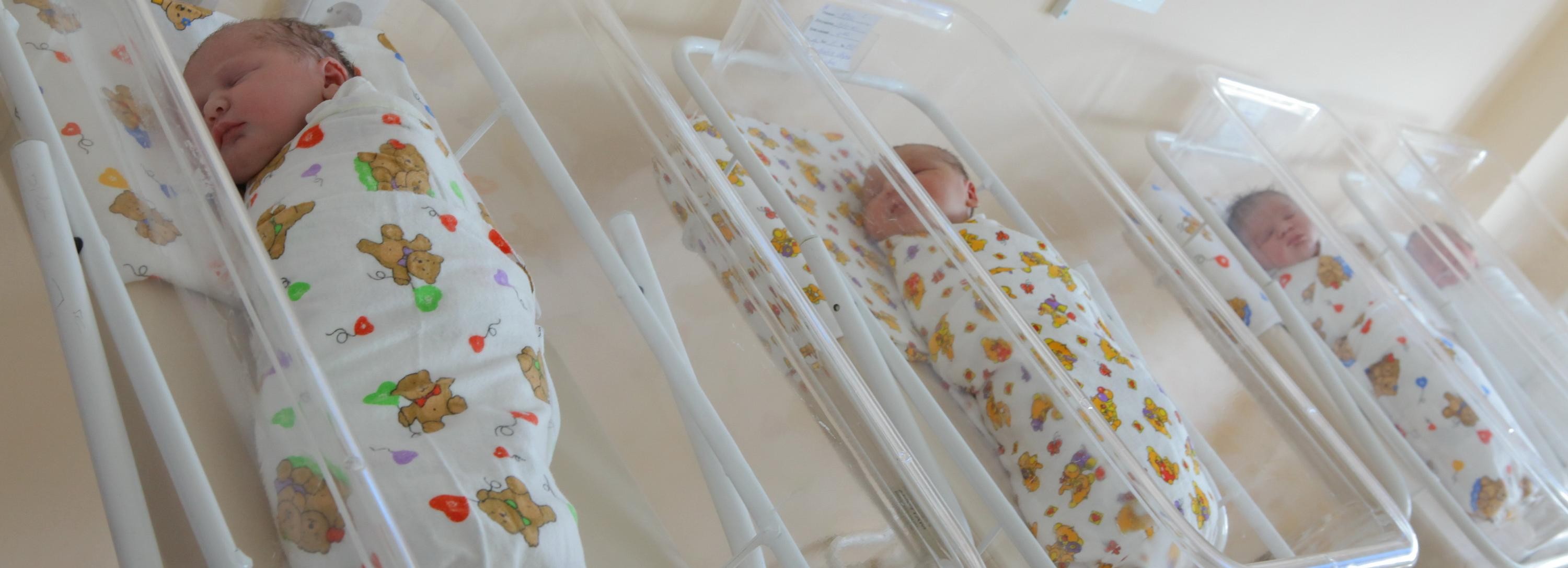 Новосибирские женщины предпочитают рожать после свадьбы