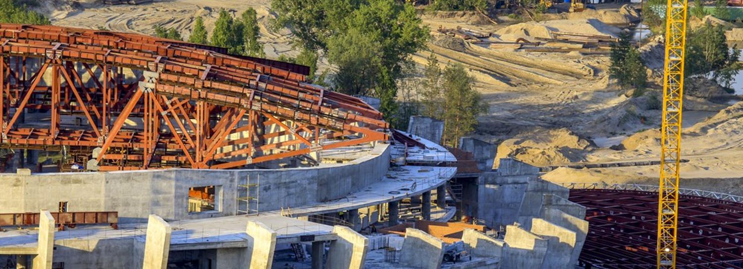 Минстрой: спасение ласточек не остановит работы на площадке ЛДС