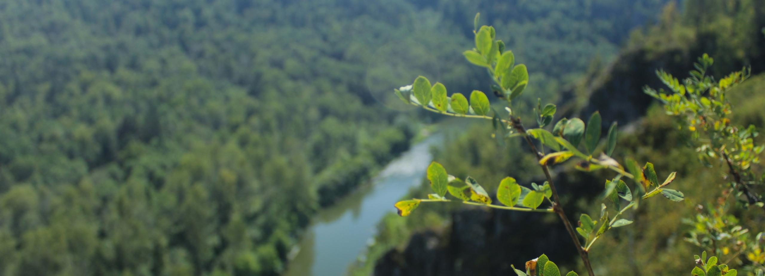 Реновацию экотроп «Зверобой» и к водопаду Бучило начали под Новосибирском