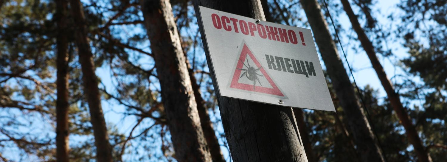 Нашествие клещей прогнозируют в Новосибирске после тёплой зимы
