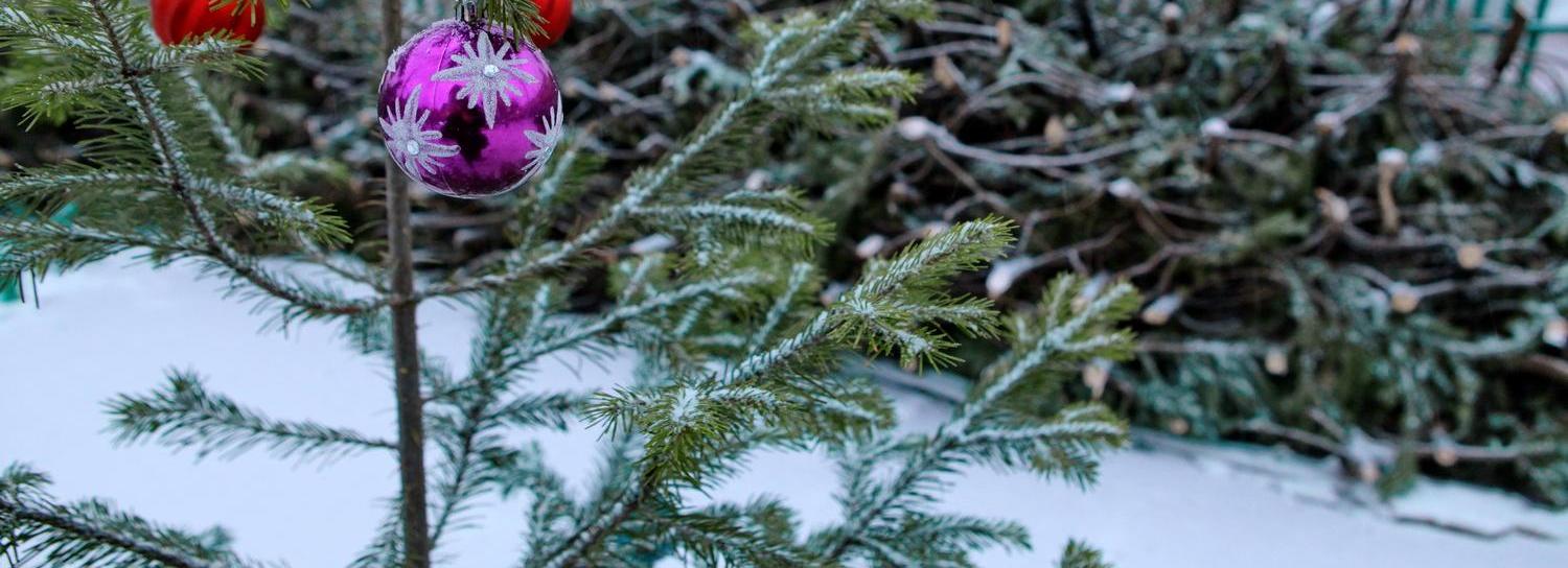 Экс-замначальника полиции будут судить за взятку новогодней ёлкой