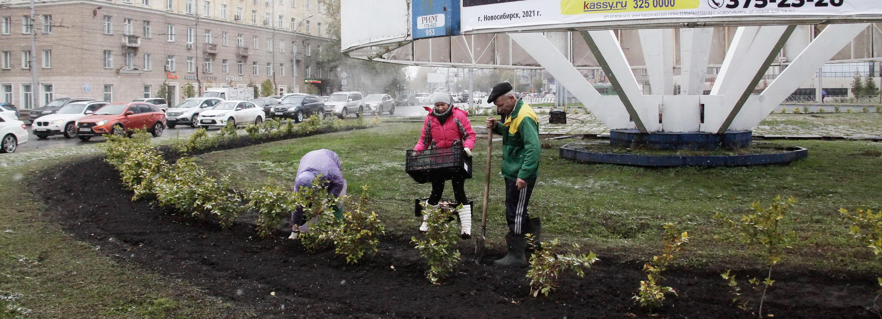 Восемь тысяч ярко-гранатовых тюльпанов высадили на площади Кондратюка