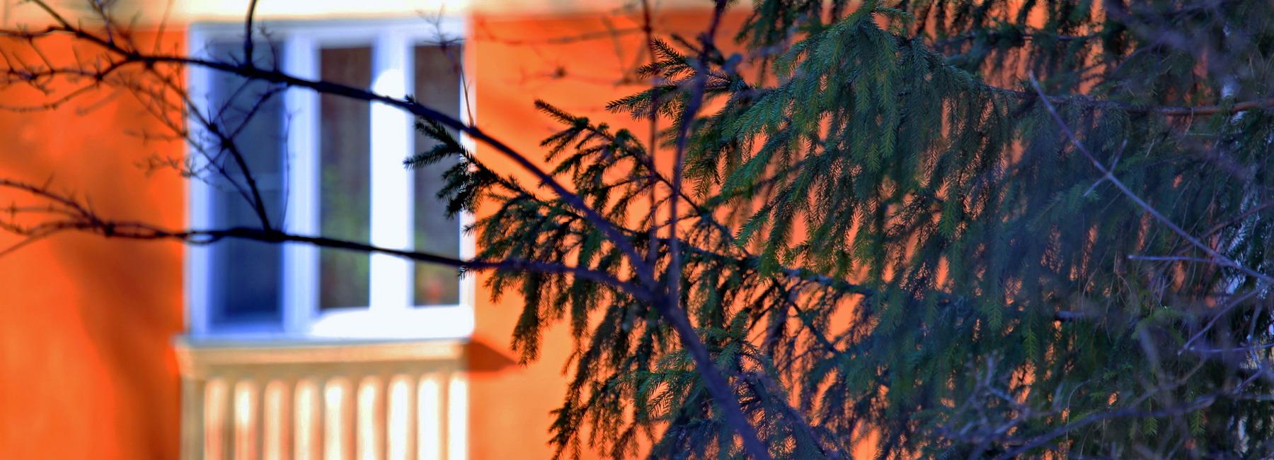 Пострадавший от пожара главный корпус ЦКБ на Пирогова частично разберут