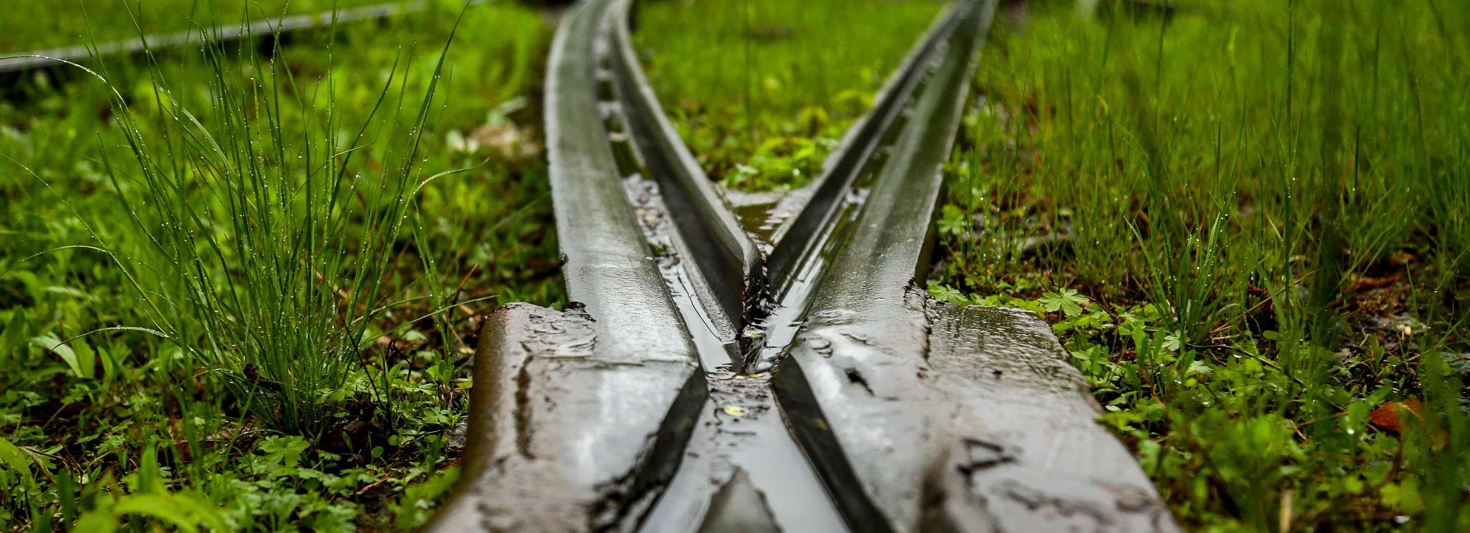 Два трамвайных маршрута заменят троллейбусом из-за ремонта на улице Мира