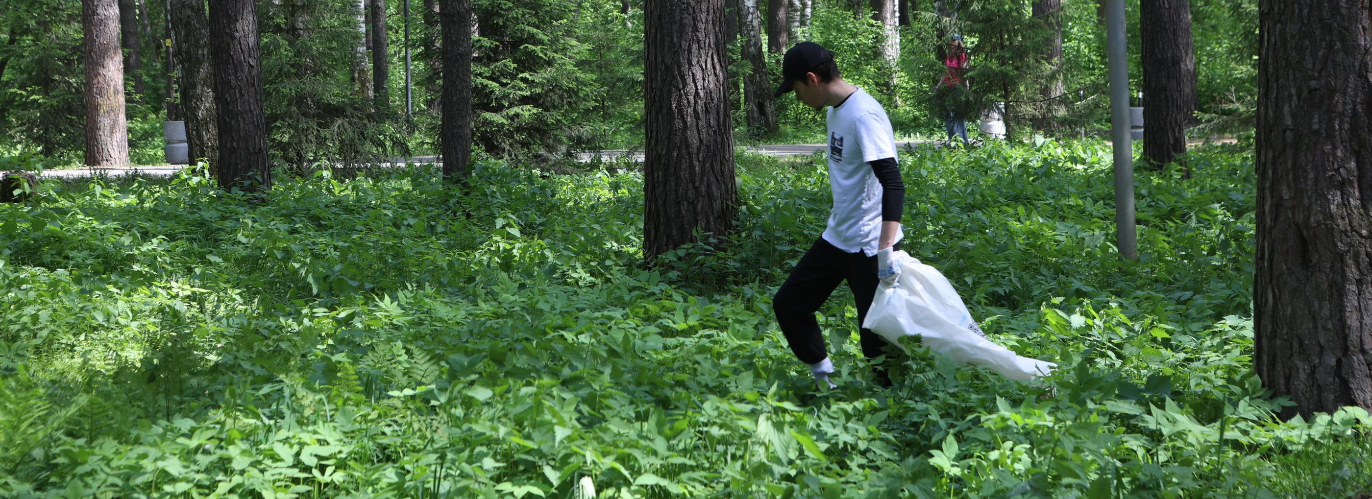 Осенний «Экофест» соберёт охотников за артефактами в Сосновом бору