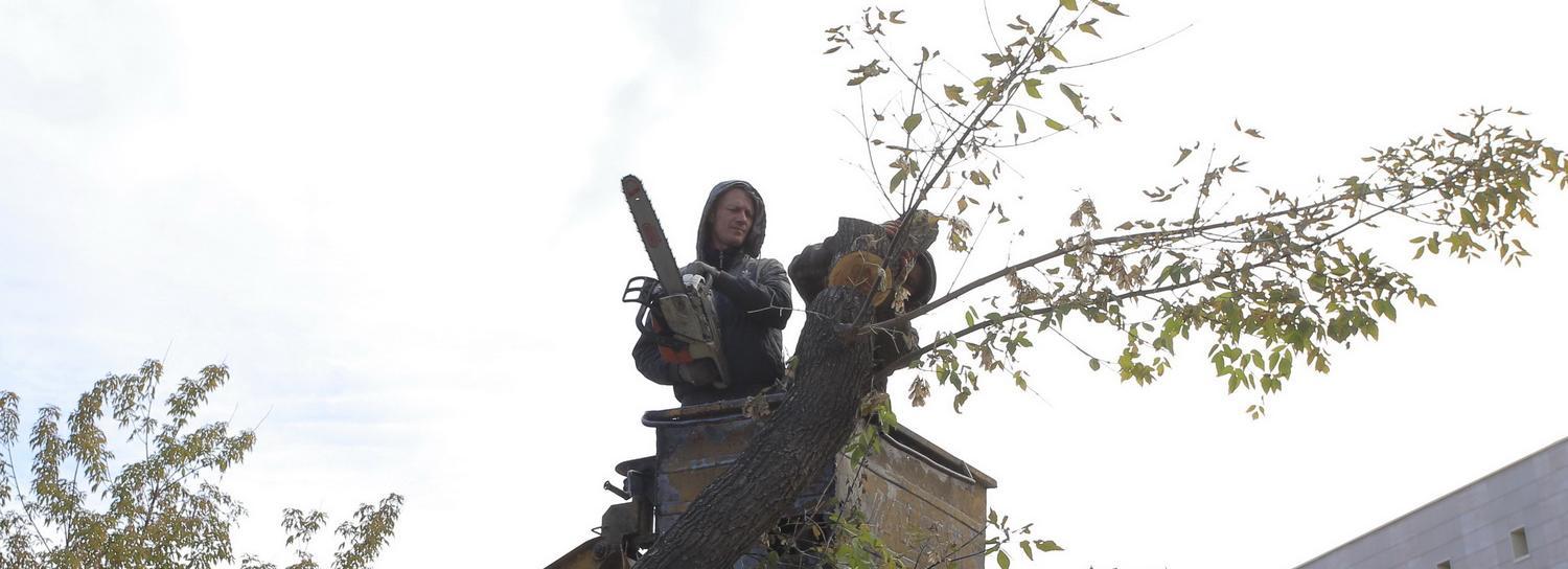 В сквере «Монумент славы первомайцам» начали реконструкцию
