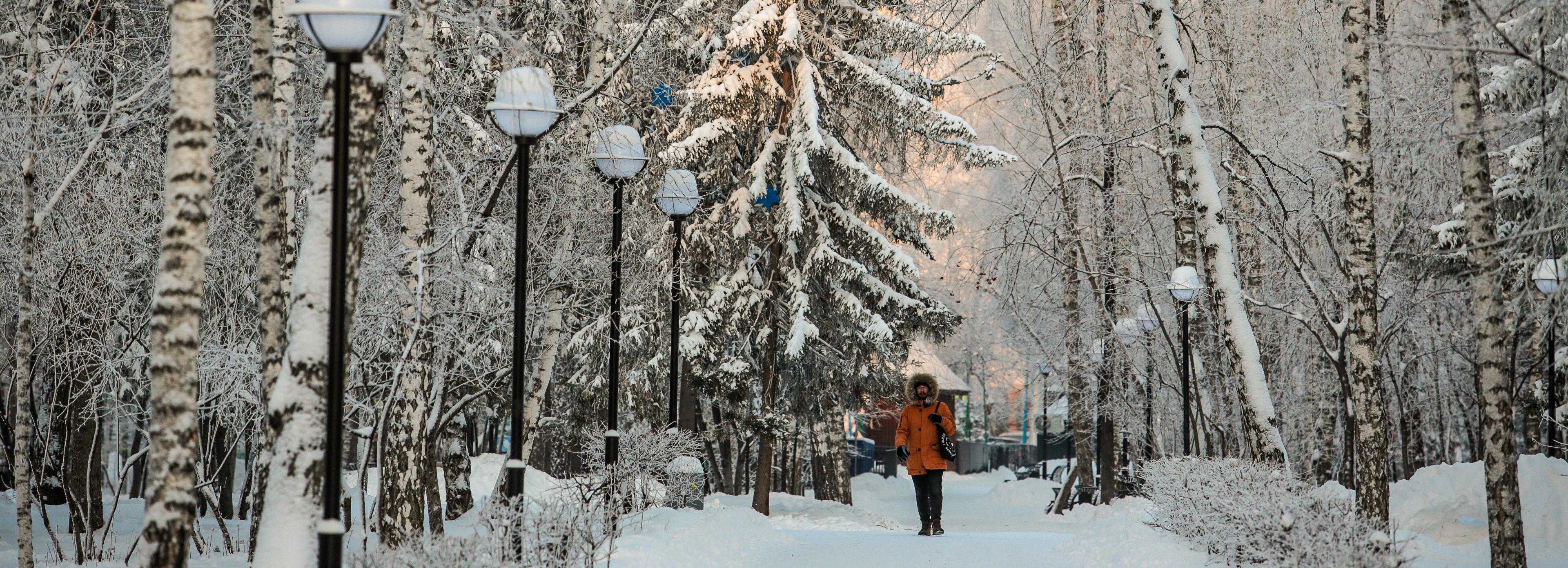 Замерзающий Новосибирск: 25 снимков, от которых по коже бегут мурашки