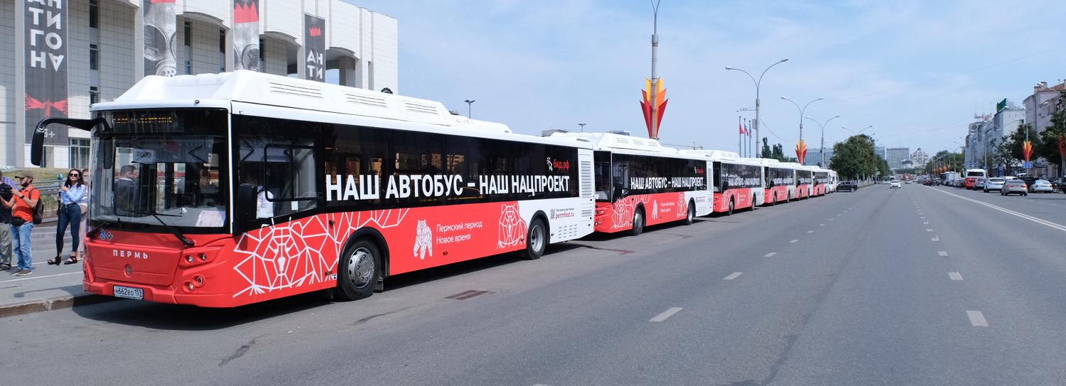 Новосибирску дадут денег на 40 новых автобусов по программе «БКАД»