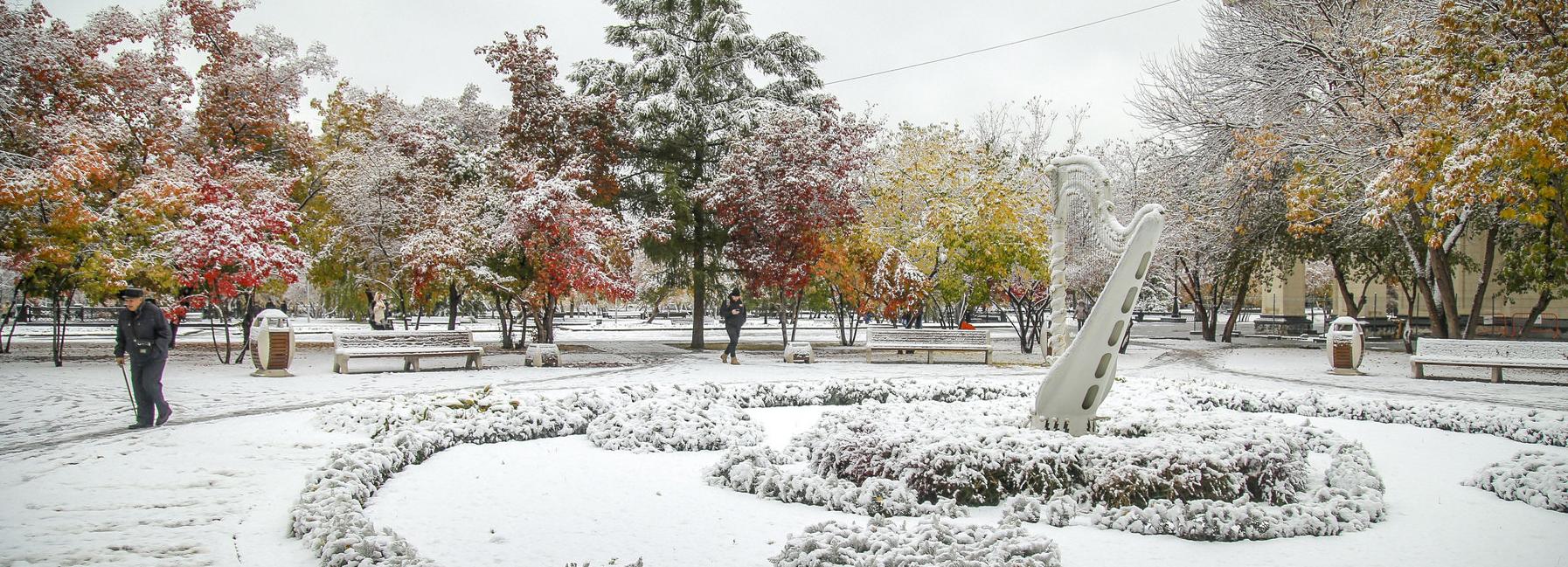 Новосибирская неделя: снегоуборщики, пешеходная Ленина и переработка ТКО