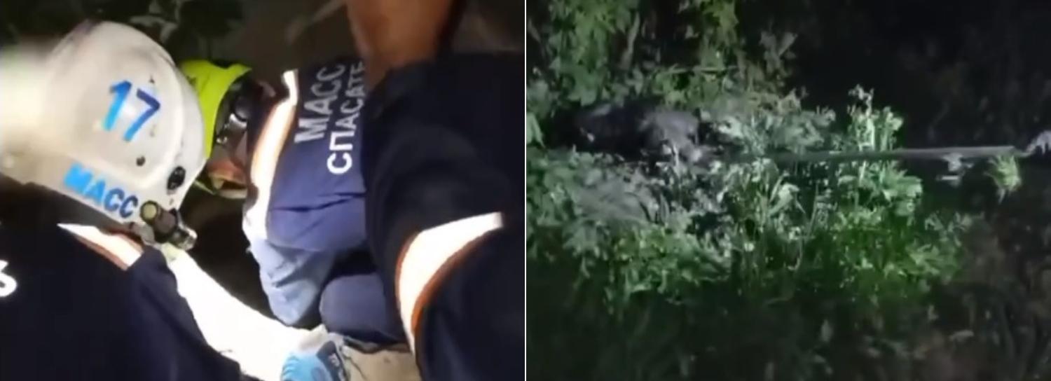 Провалившуюся в колодец собаку достали на Петухова