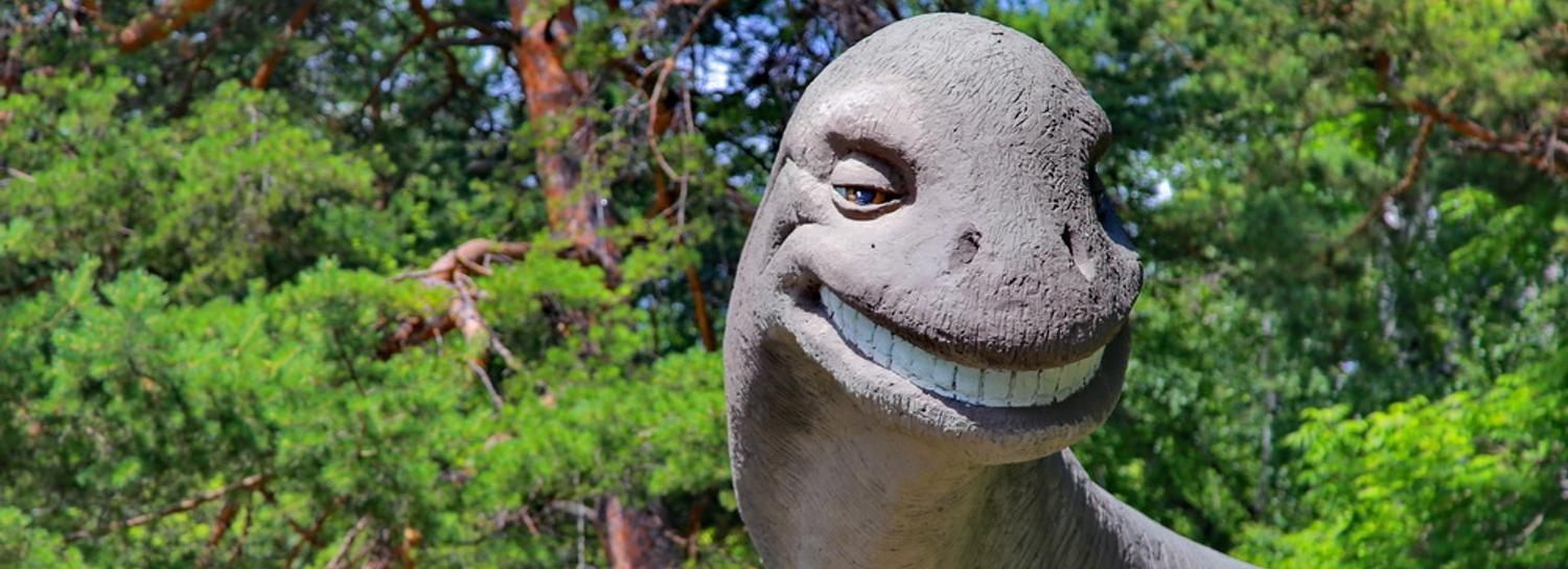 Новосибирский зоопарк сократил время работы