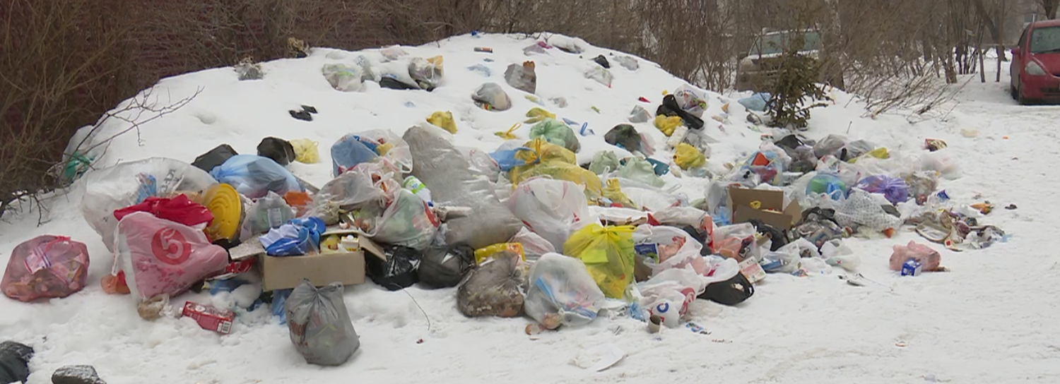 «Носить далеко» — горожане устроили свалку под окнами дома