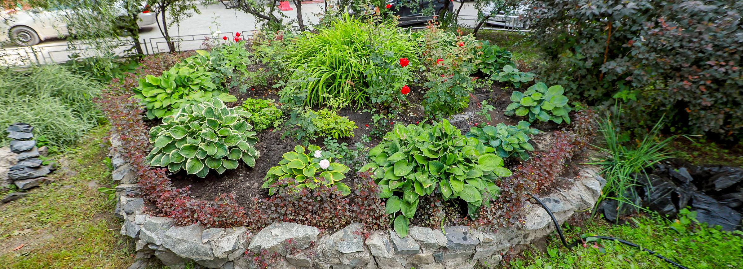 Роскошный цветник с розарием и прудом разбили во дворе на Белинского