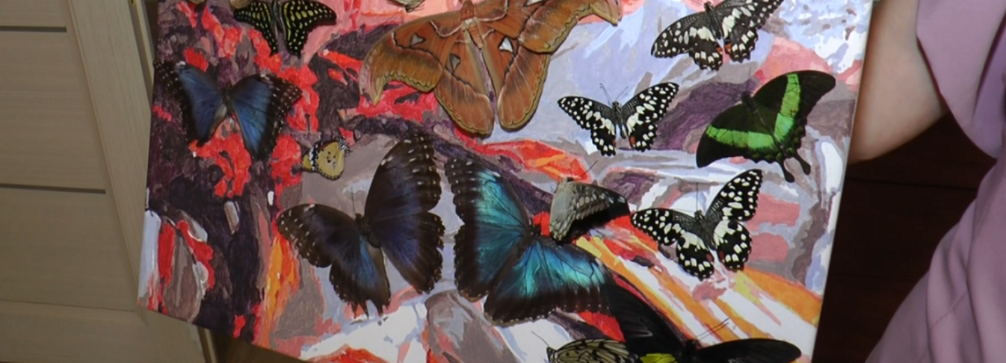 Тропических бабочек разводит в своей квартире жительница Новосибирска