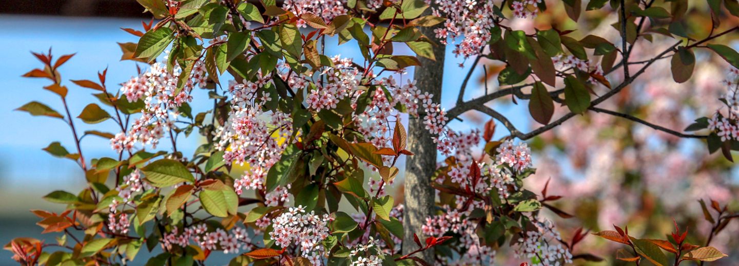 На выходных в Сибири начнётся сброс аномального тепла