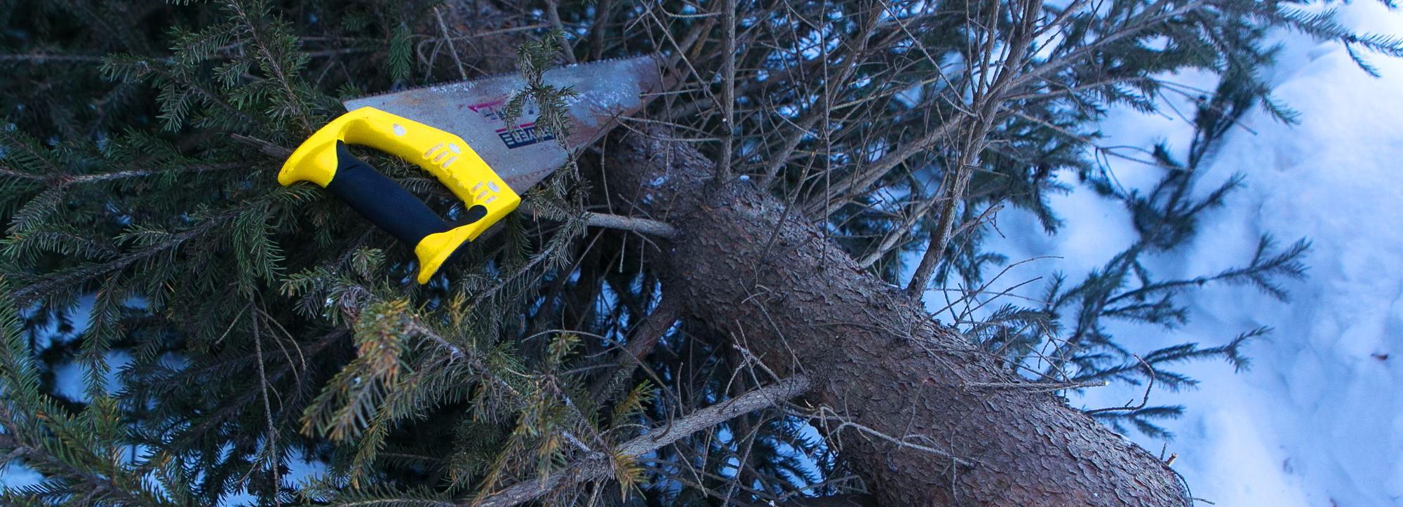Тропинка к школе в Первомайском районе станет светлее