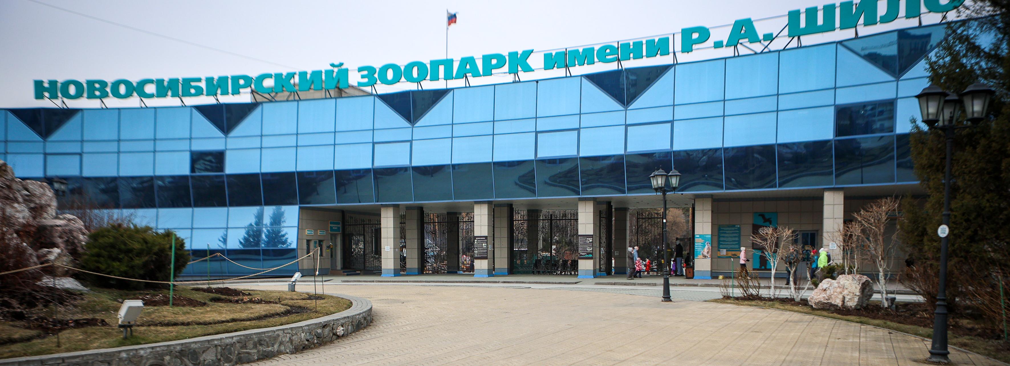 Губернатор предложил запустить шаттл до зоопарка