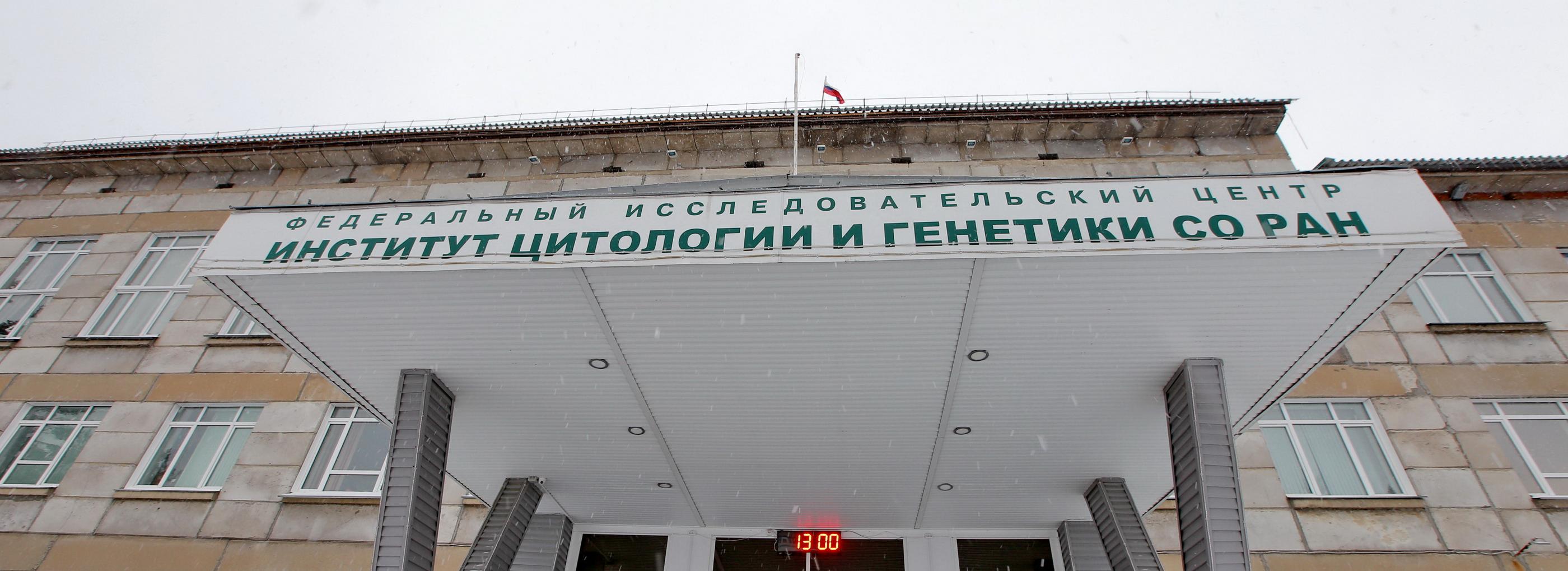 Новое лекарство для лечения болезней ЖКТ создадут в Новосибирске