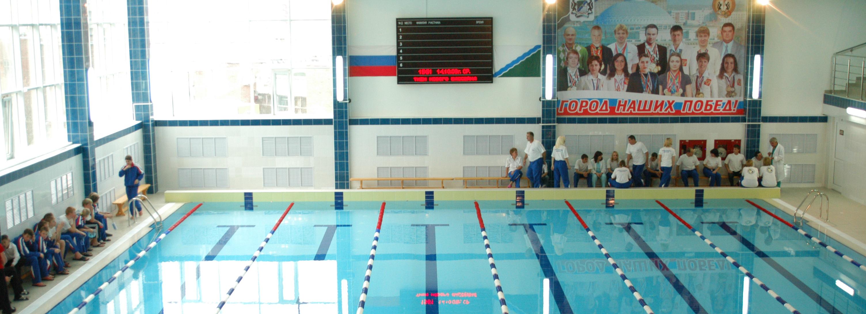 Новосибирские пловцы Суркова и Морозов поедут на Олимпиаду в Токио