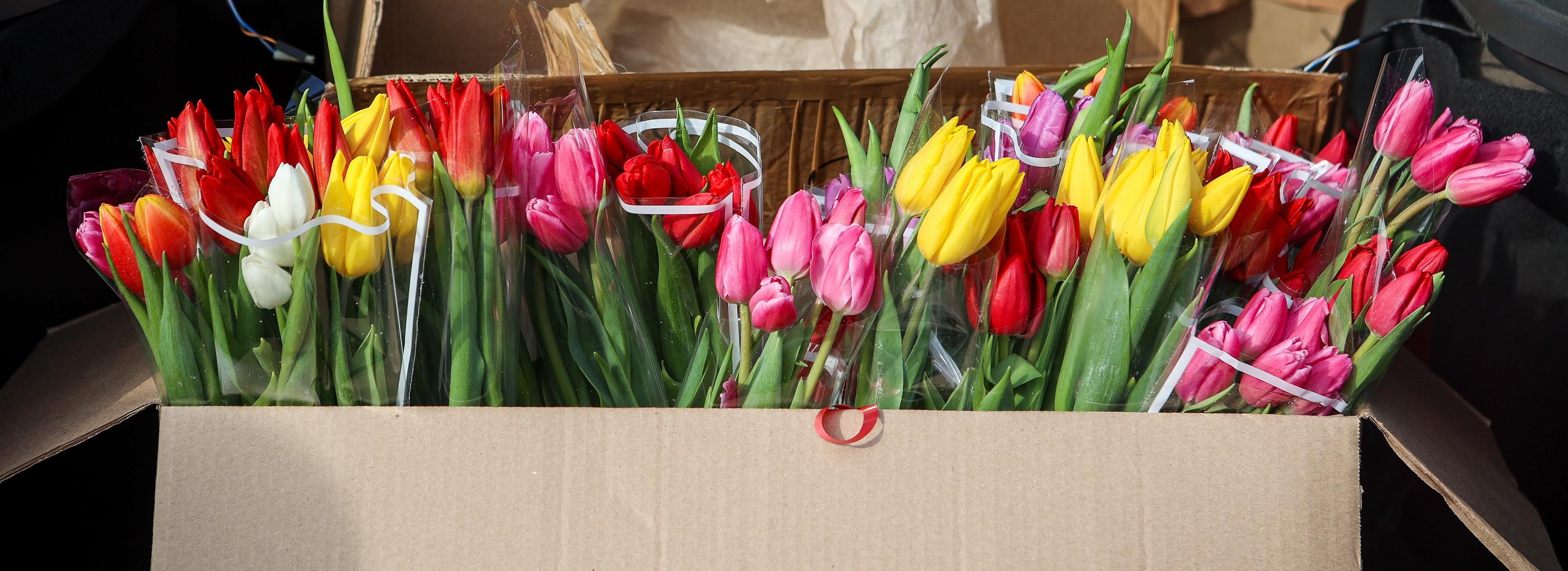 Не успели продать: у нелегальных торговцев цветами забирают товар