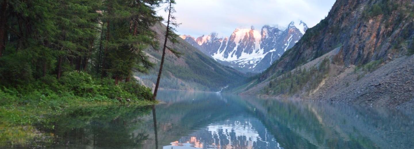 Что делать, если вы заблудились в лесу