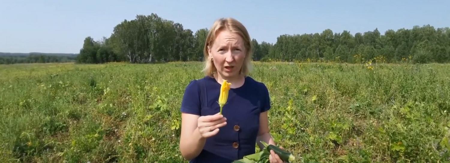 Новосибирский фермер выращивает экологически чистые овощи без химикатов