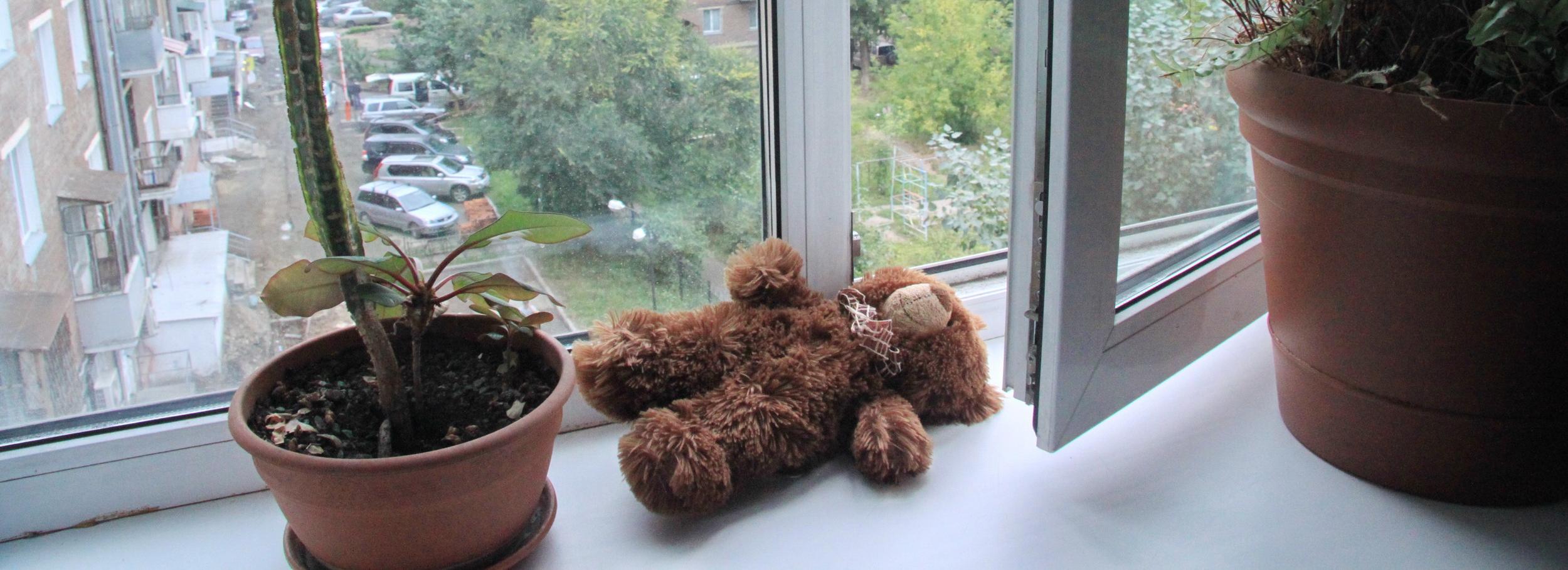 Новосибирцев предупредили об опасности открытых окон для детей