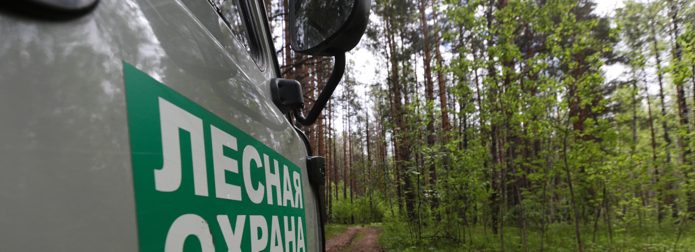 Надвигающийся крупный пожар угрожает дачам под Новосибирском