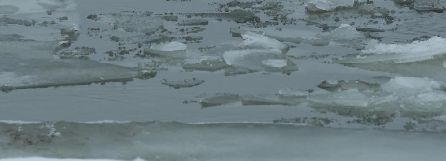 «Уже не выдерживает вес человека»: об опасности льда на Оби напомнило МЧС