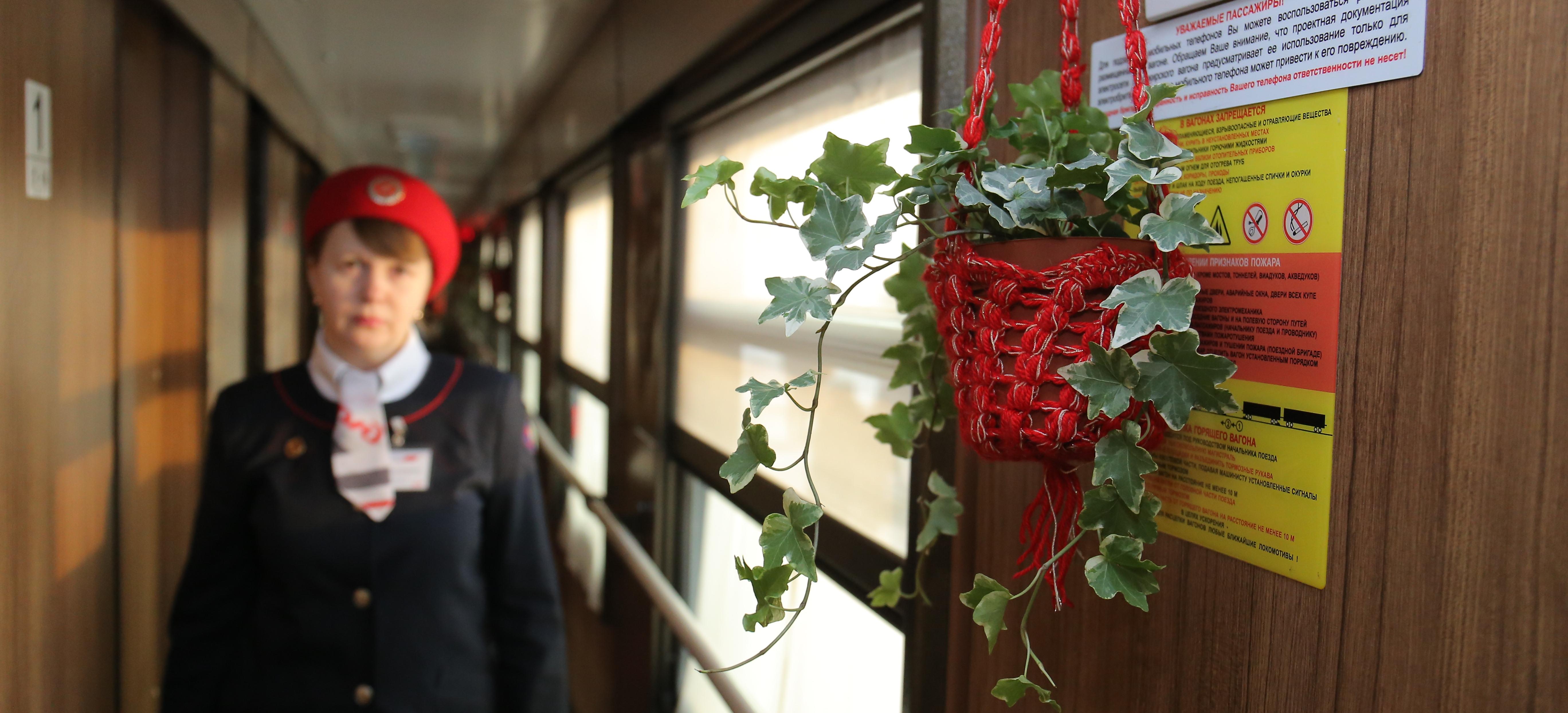 Турпоезд из Новосибирска на Алтай отменили после первого рейса