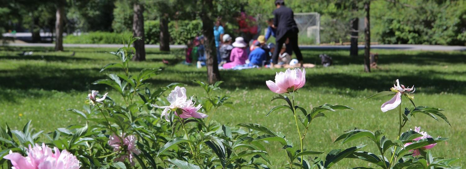 Новосибирцев приглашают на опрос о благоустройстве парка имени Кирова