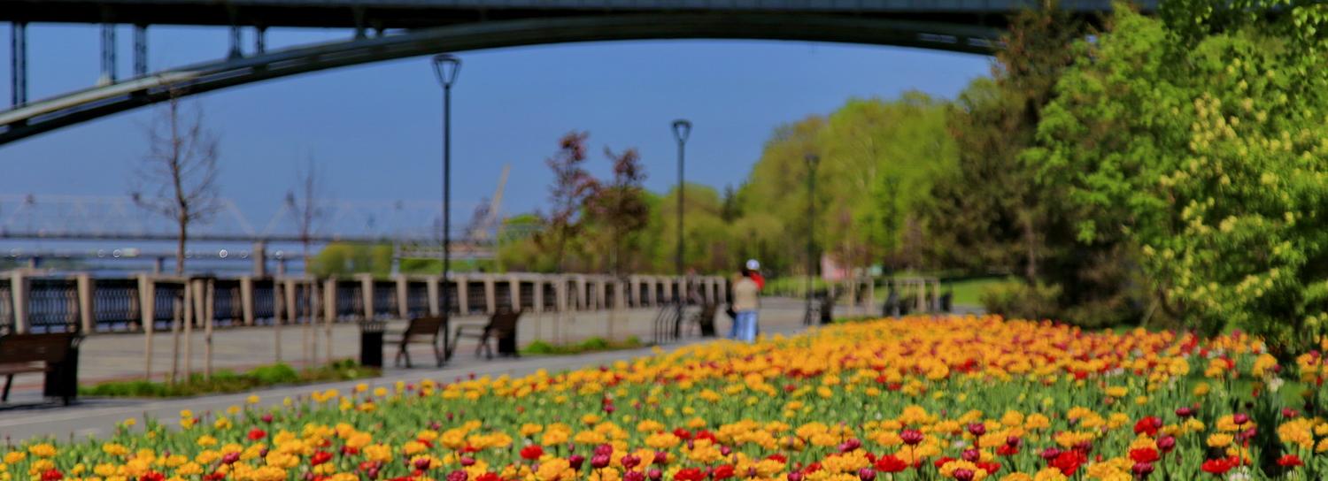 Студенты впишут стелу трудовой доблести в скверы и улицы Новосибирска