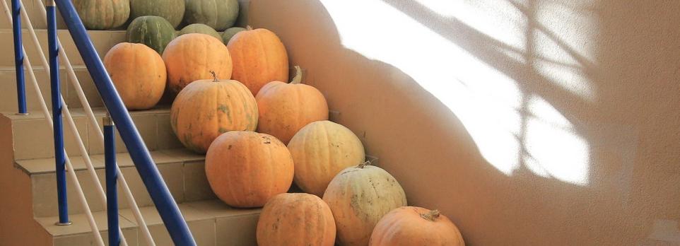 Все полезности тыквы назвали в Роспотребнадзоре