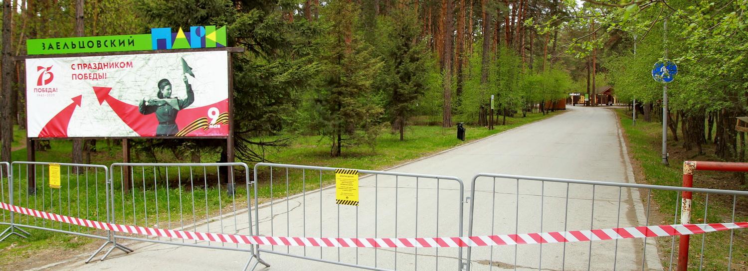 Заельцовский парк благоустроят в 2021 году в Новосибирске