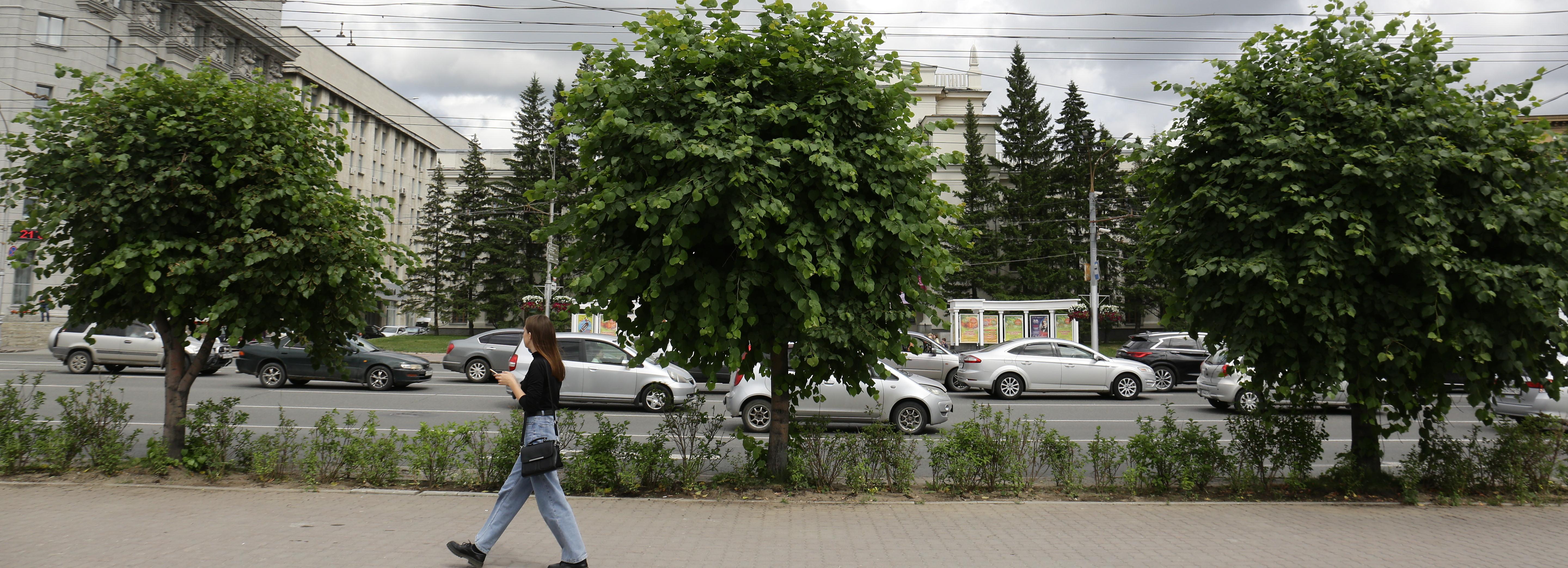 Забор на Красном проспекте заменили кустами сирени и смородины