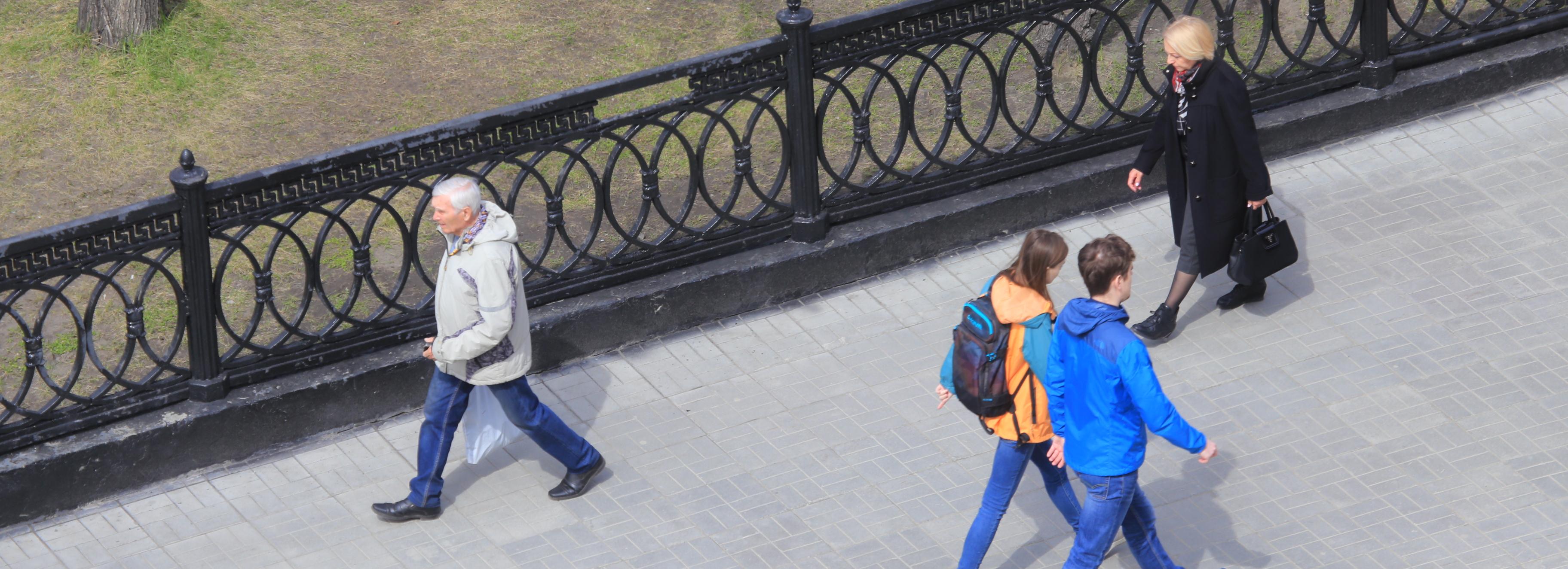 О заморозках до −3 градусов предупредили жителей Новосибирской области