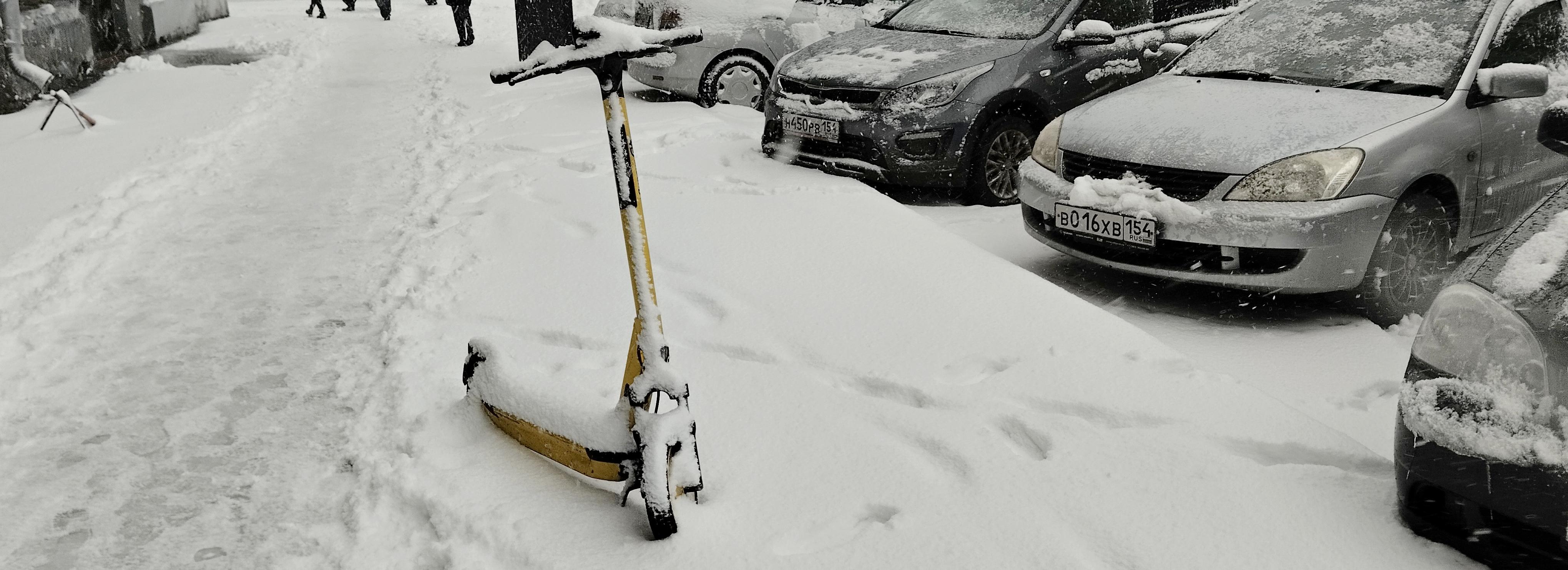 Когда уберут самокаты с улиц Новосибирска — ответы сервисов кикшеринга