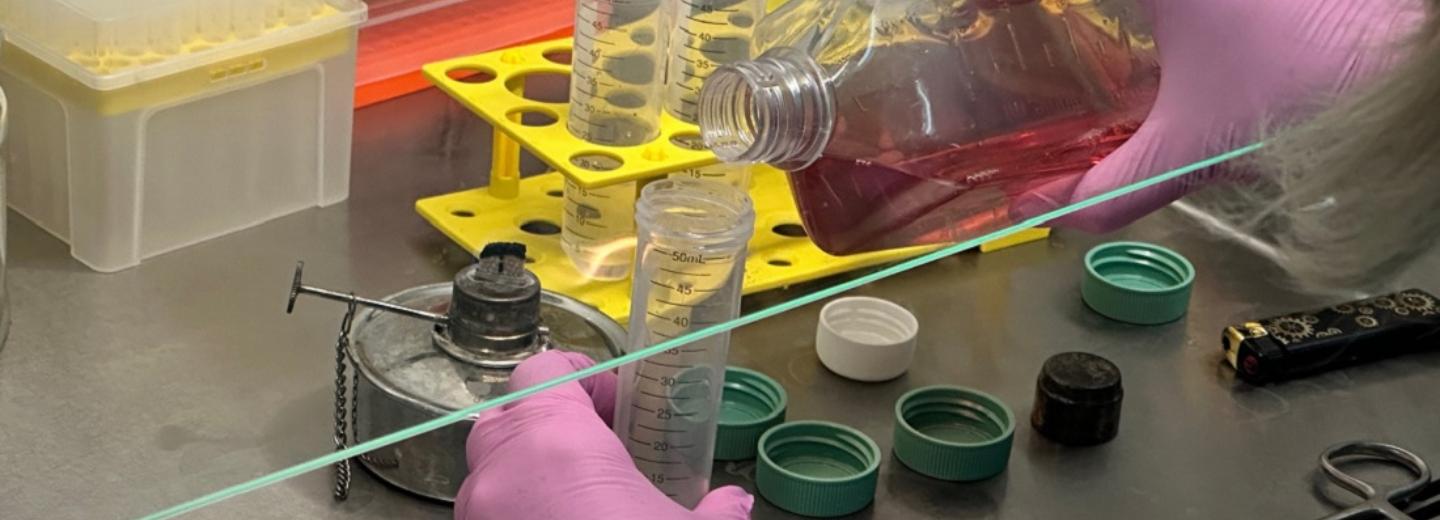 Уникальный метод трансплантации костного мозга создают в Новосибирске