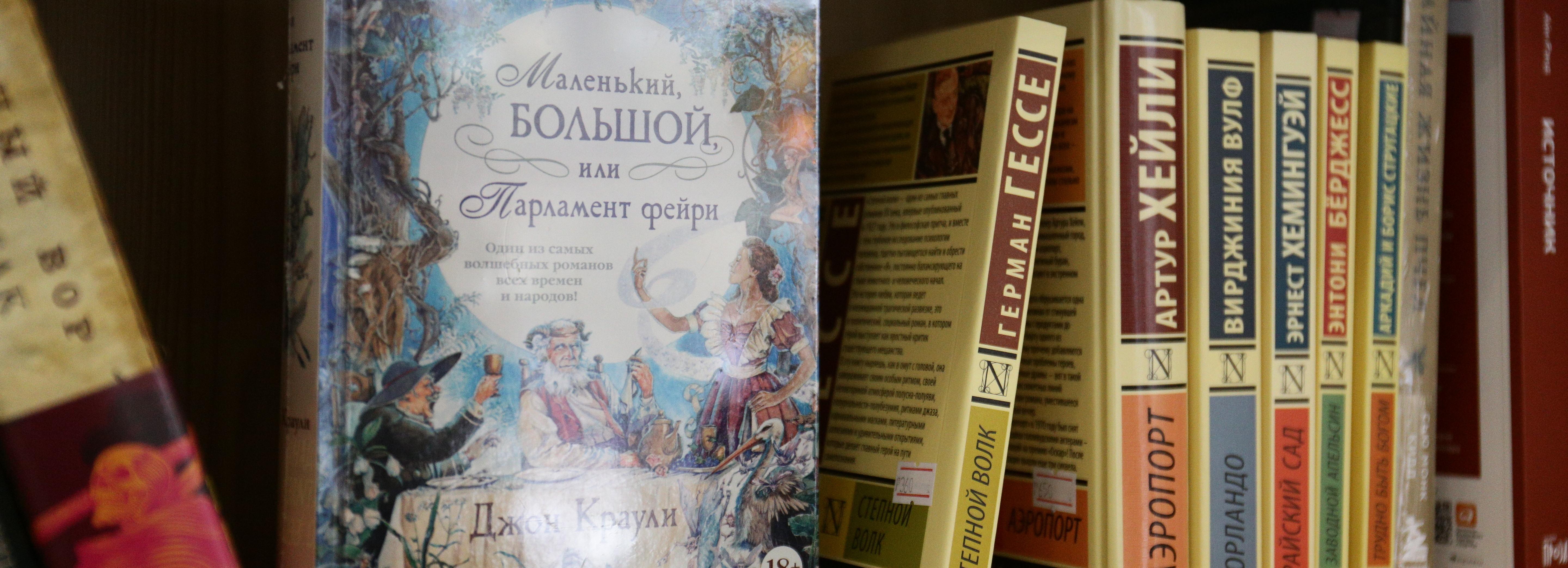 Продавец книг Вероника Украинцева: «Дети залипают на виммельбухи»
