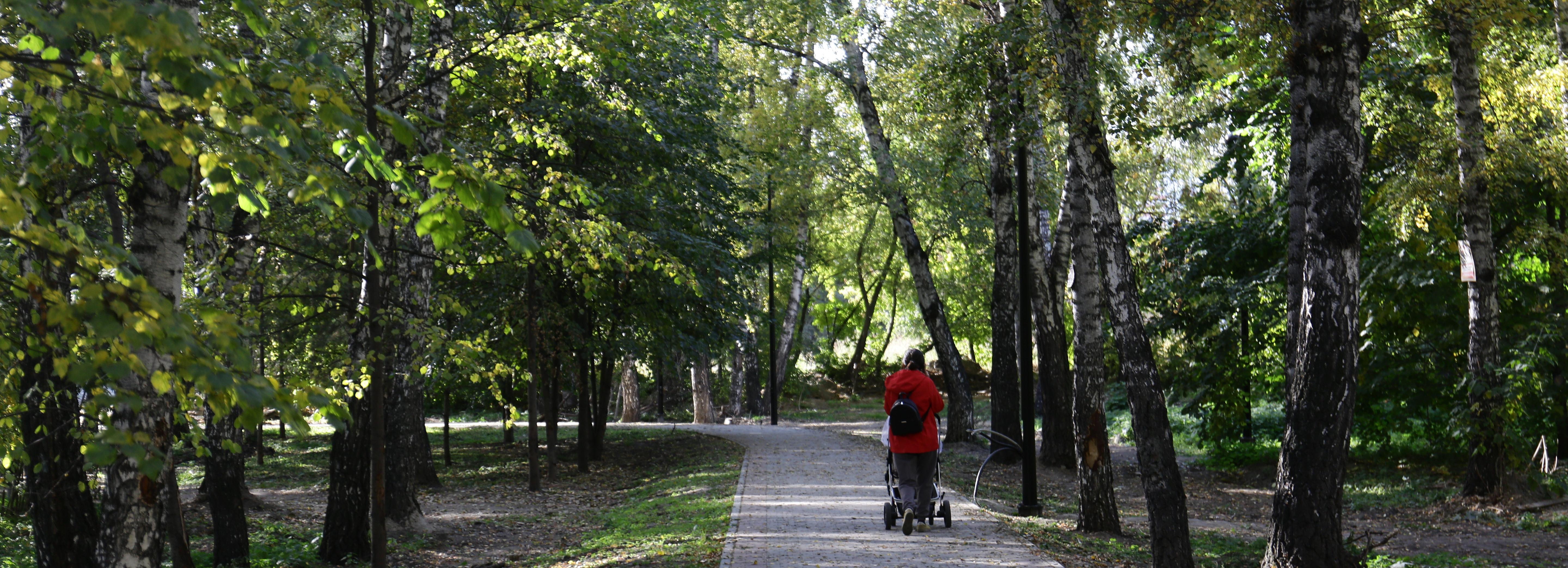 Опубликован дизайн-проект парка «Чербузы» в микрорайоне «Щ»