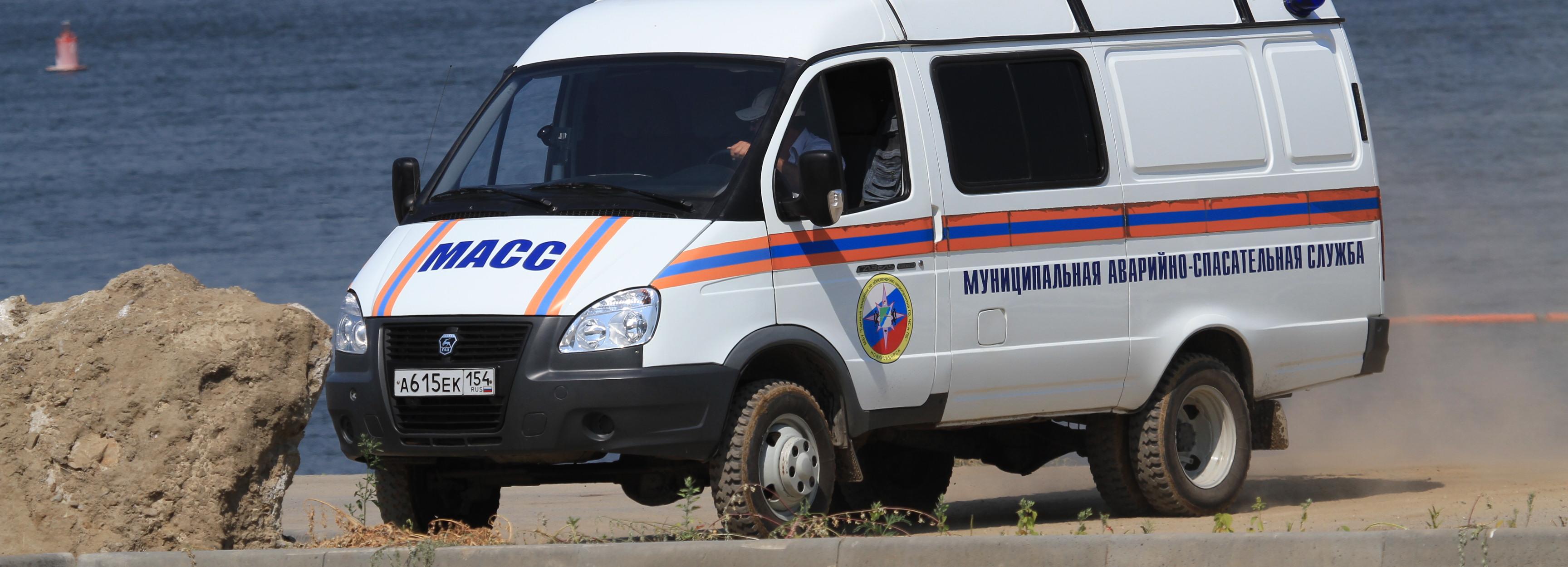 Собака упала в колодец и отключила интернет в Новосибирске