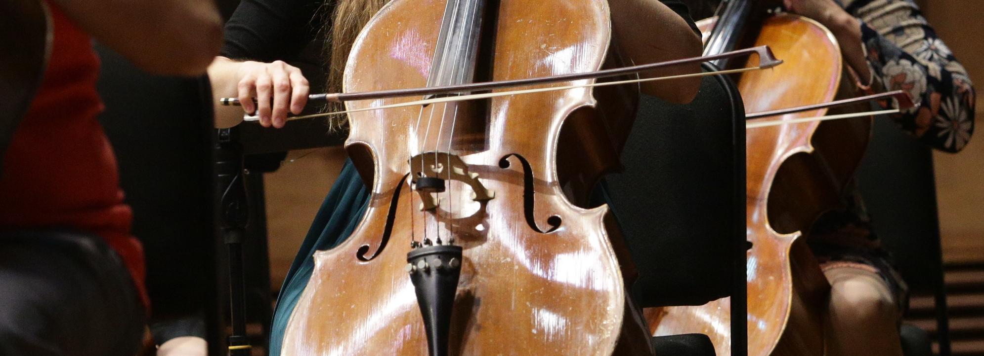 Струнный квартет сыграет Вивальди в гипермаркете «Лента» на Петухова