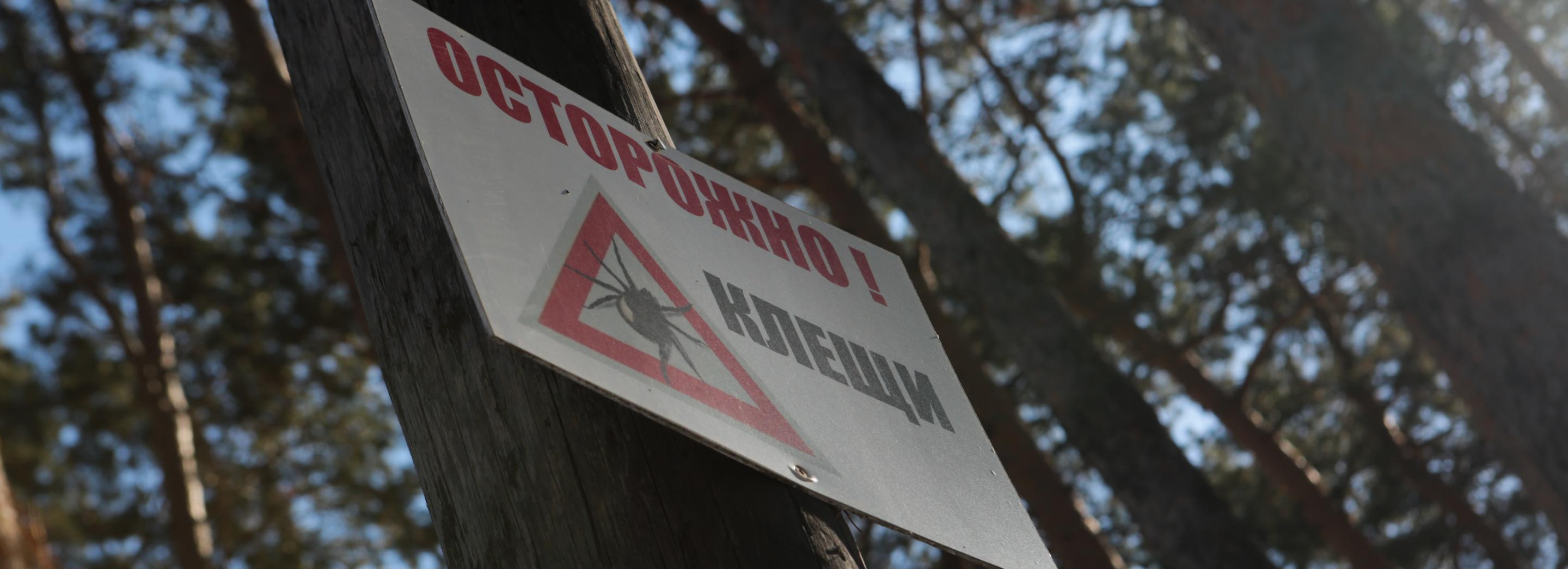 Названы самые опасные районы по укусам клещей в Новосибирской области