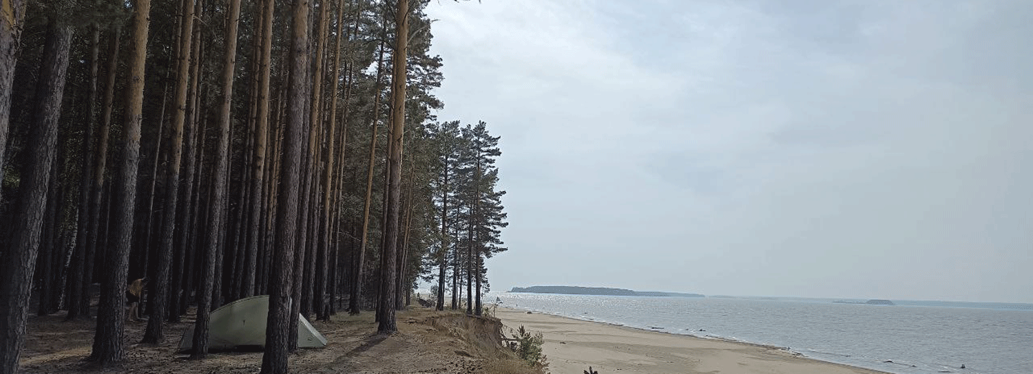 Природный парк «Караканский бор» появился в Новосибирской области