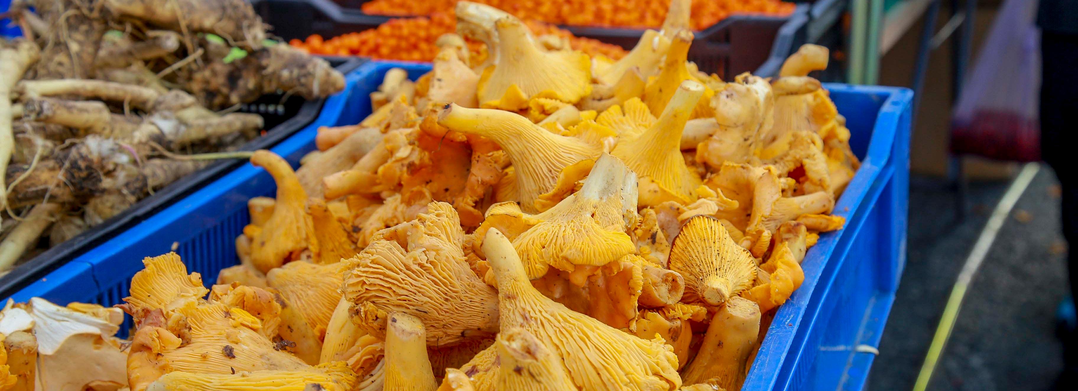 Шесть уличных ярмарок развернут в октябре в Новосибирске