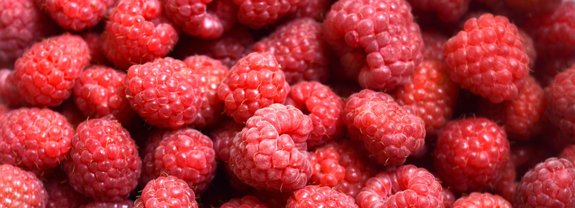 Россельхознадзор не пустил в Новосибирск малину из Средней Азии