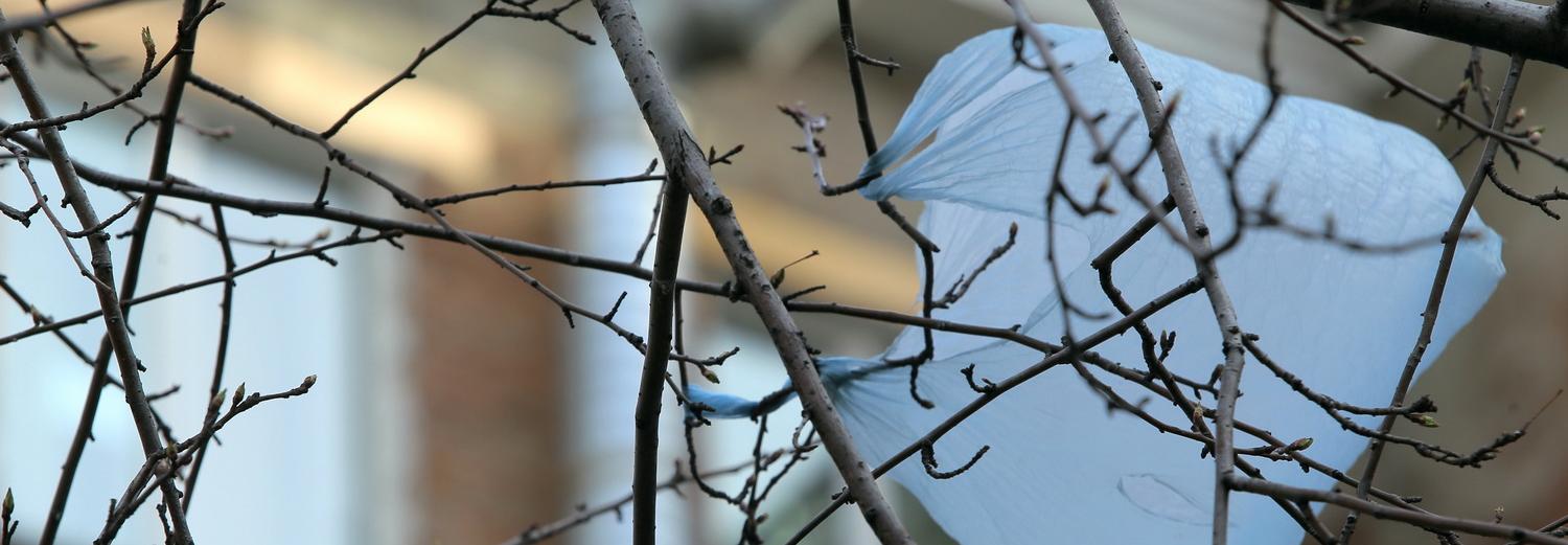 Ветер разгонится до 24 м/с в Новосибирске