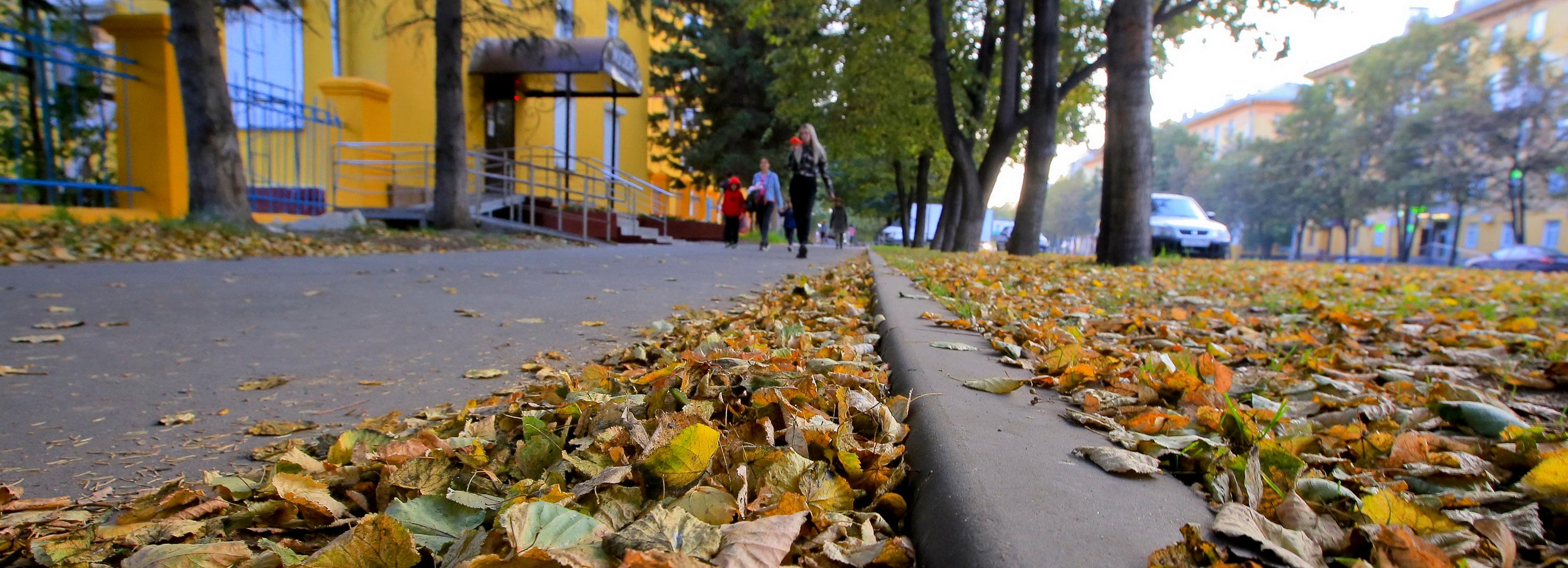 Бабье лето в Новосибирске продлится почти неделю