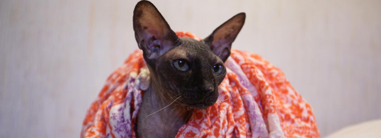 СГК начнёт подключать Новосибирск к теплу с 10 сентября