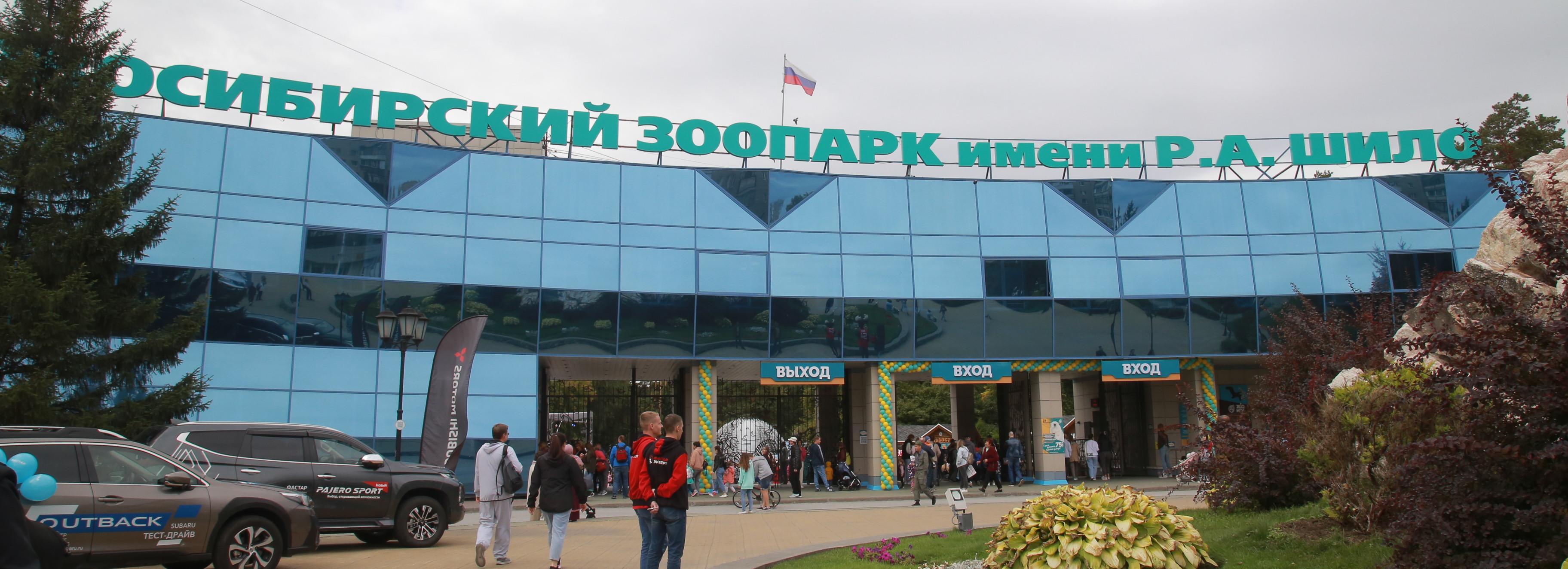 Птичьи кафе и трактиры: сотни кормушек собрали на главной аллее зоопарка